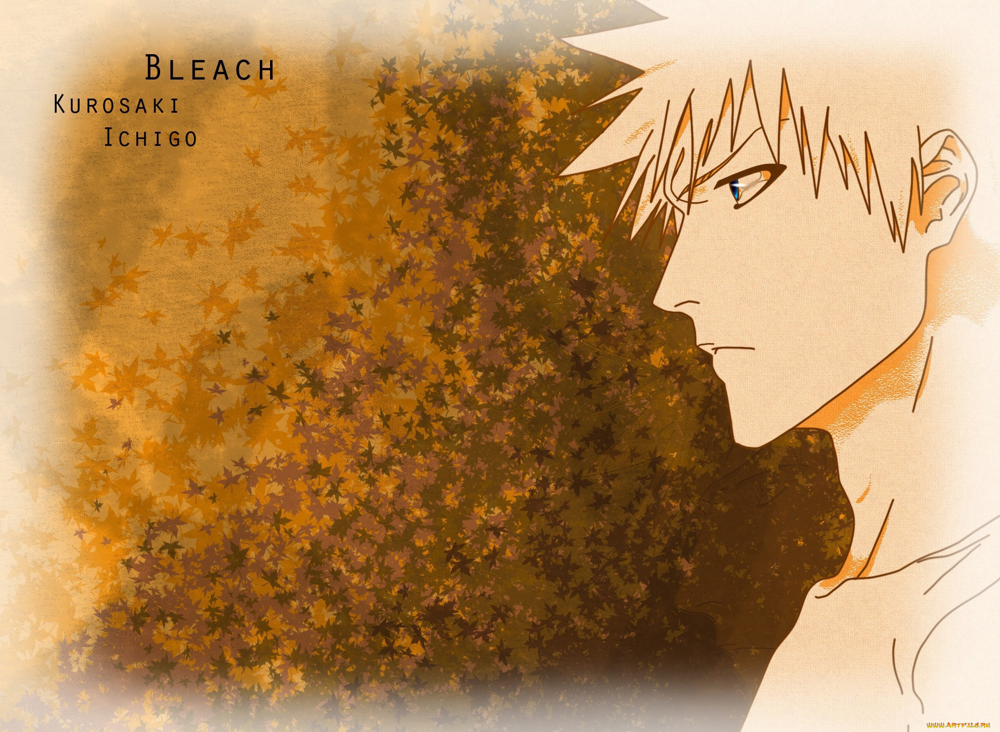 , bleach, 